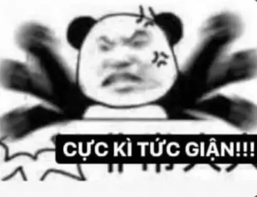 204 17 Ảnh Meme Gấu Trúc Tức Giận Cau Có Nhăn Mặt Cho Mọi Pha Cạn Lời