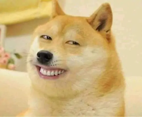 165 Ảnh Cheems Meme Chế nhây bựa kinh điển từ chú chó Balltze vui nhộn trên không gian mạng