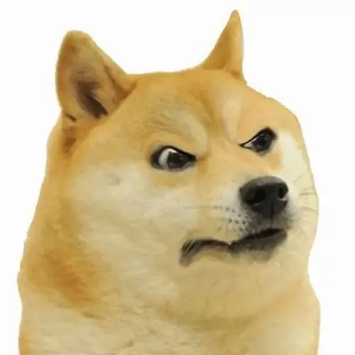 65 64