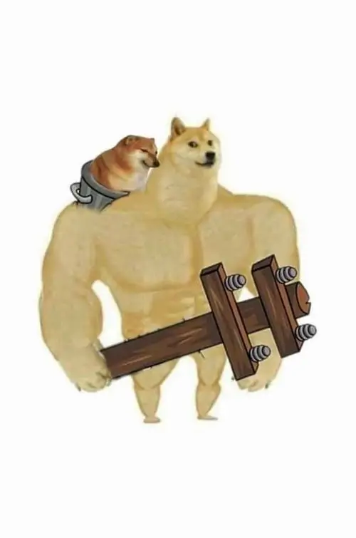 46 45