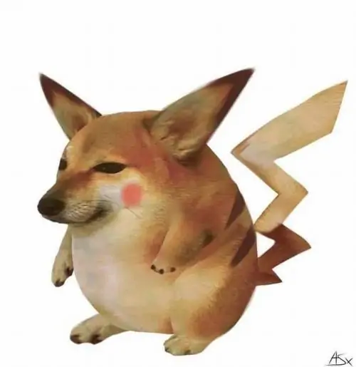 48 47