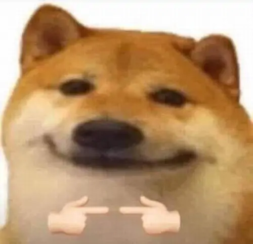 50 49