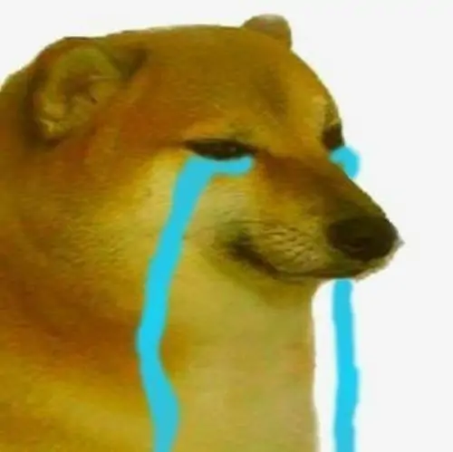 54 53
