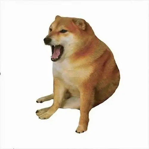 56 55