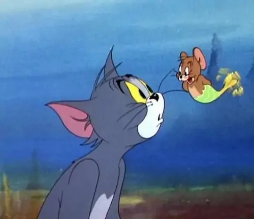 375 Ảnh Tom And Jerry Meme với những màn rượt đuổi, cãi vã kinh điển