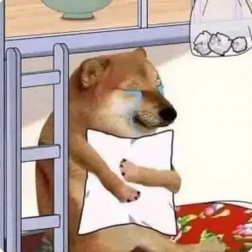 16 Meme Cheemsburger cho thấy chú chó đắp chăn trên giường tầng, mắt nhắm lim dim như đang trốn cả thế giới sau giờ học
