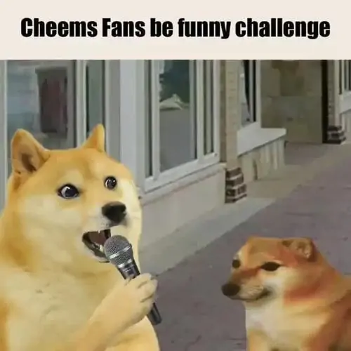 17 Dòng chữ Cheems Fans be funny challenge nằm trên cảnh chú chó cầm micro phỏng vấn, Cheems đứng nép cạnh cửa với mặt ngơ ngác