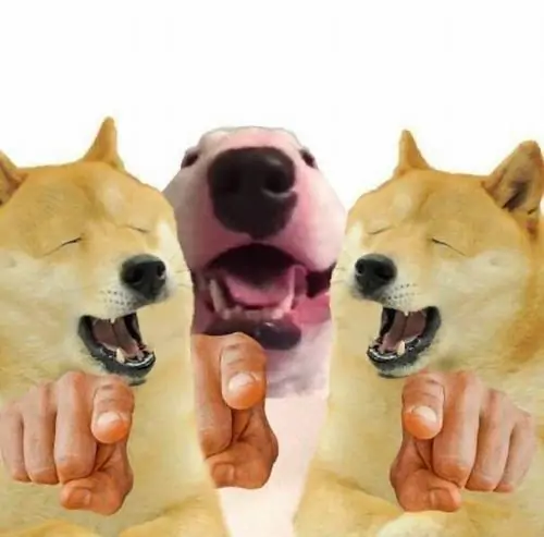 18 Hai chú chó hai bên vừa cười vừa chỉ tay, giữa là chiếc mõm phóng to tạo cảnh ảnh meme Cheems bị chọc quê