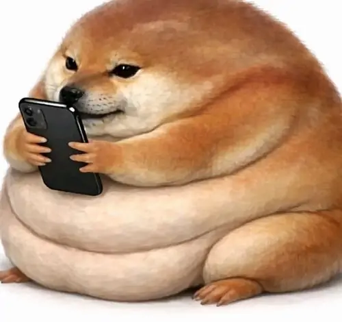 20 Meme chó buồn cười có chú Shiba thân tròn ôm điện thoại, mắt lim dim như vừa đọc tin nhắn làm tụt sạch năng lượng