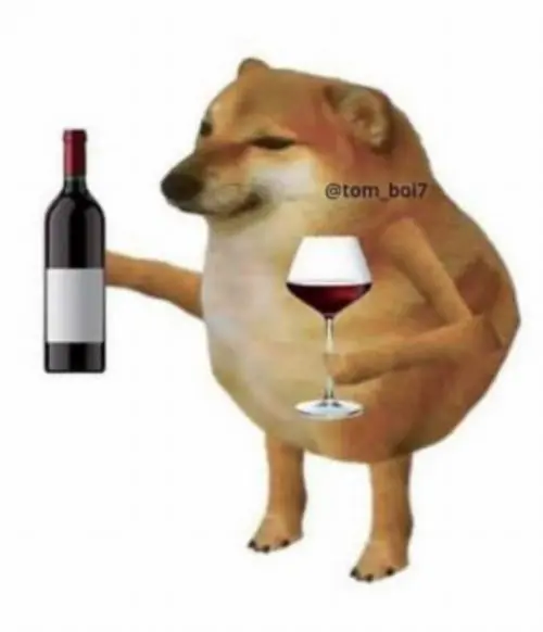 77 76