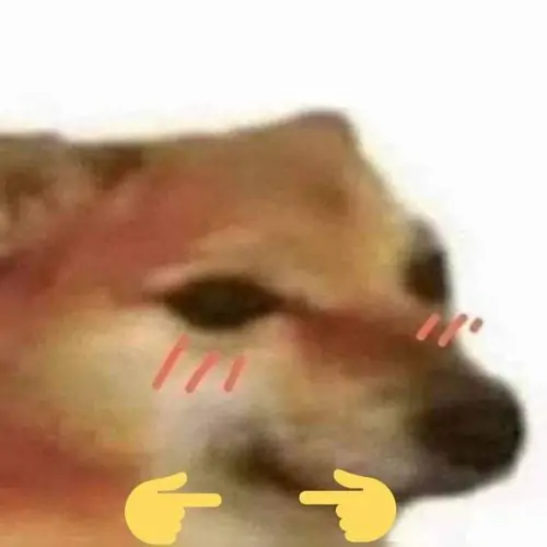 81 80