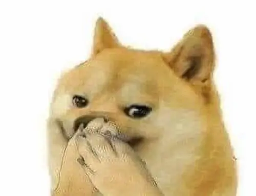 85 84