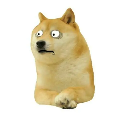 97 96