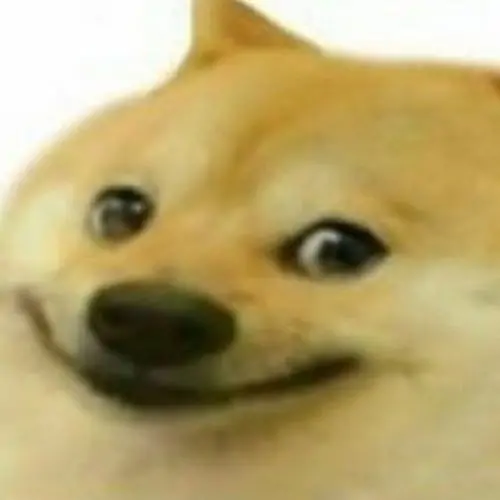 95 94