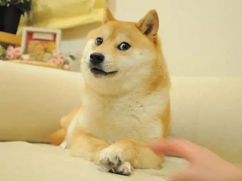 89 88
