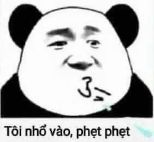 80 79