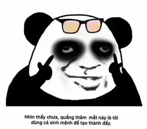 54 53
