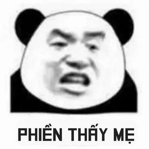 58 57
