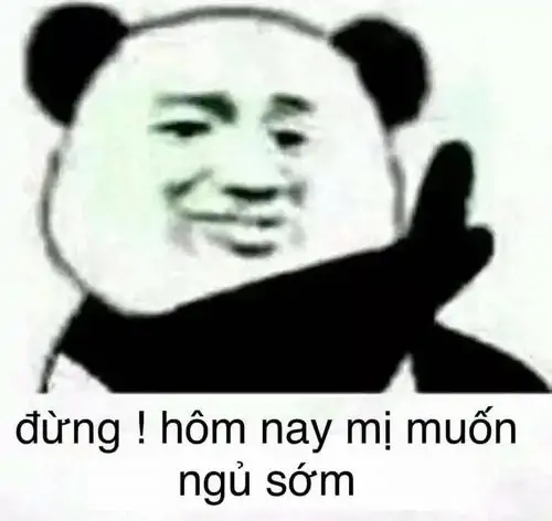 42 Giữa vườn thú đông người, gấu trúc ngồi phịch xuống cạnh đống tre trúc, chiếc bụng bự khiến dáng nghỉ chân thêm lười biếng