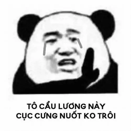43 Bàn chân gấu giơ lên khi nằm ngửa trên sàn gỗ, dáng ngủ đủ tư thế gợi cảm giác nghỉ ngơi bất cần đời