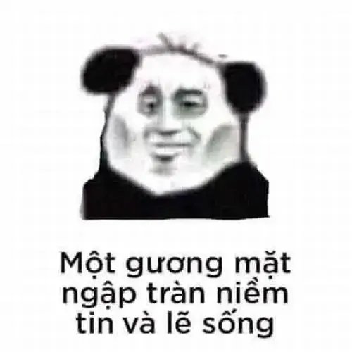 46 Bộ lông trắng nổi bật dưới nắng nhẹ, gấu trúc ôm tay trước ngực với sự vụng về tự nhiên làm người xem bật cười