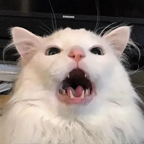 28 27