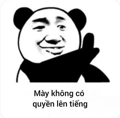 49 48