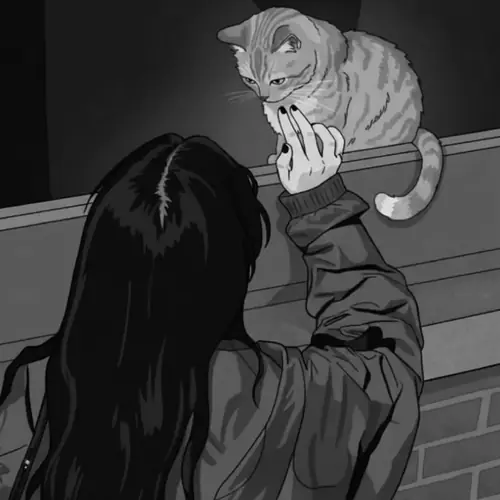 49 48