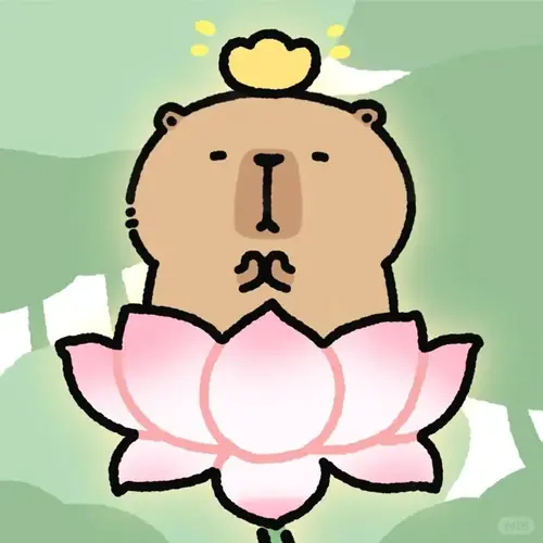 50 49