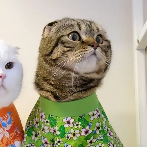 44 43