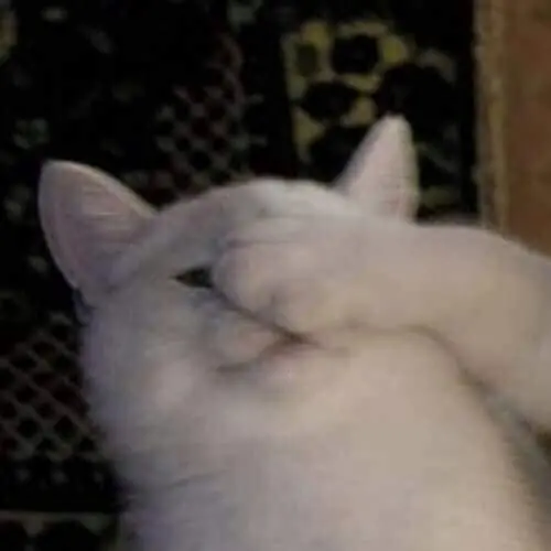 49 48