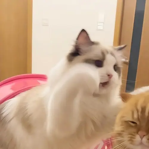 57 56