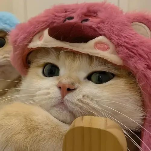 28 27