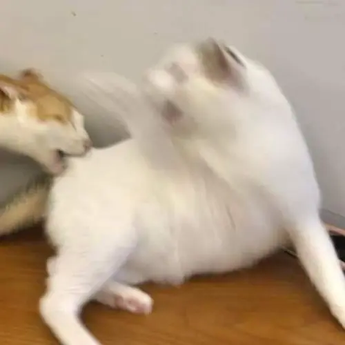 36 35