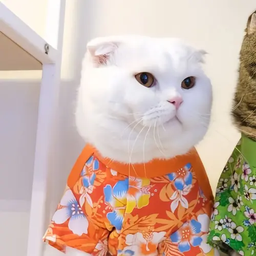 42 41