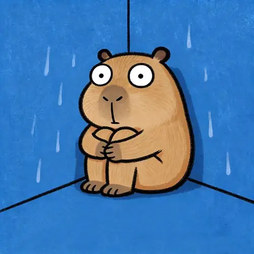 16 Dưới những vệt mưa, capybara ngồi co chân trong góc phòng xanh, mắt nhìn thẳng.