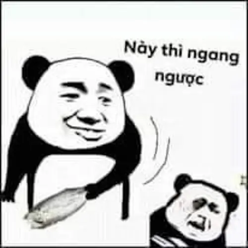 70 Meme Gấu Trúc Ngang Ngược cùng ánh mắt liếc xéo và vẻ mặt bất cần đời
