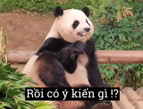 8 7