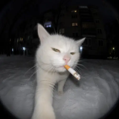 47 46