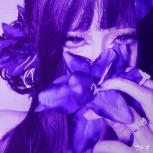 201 Ảnh Avatar Màu Tím mộng mơ từ lavender nhẹ mắt đến tím neon nổi bật