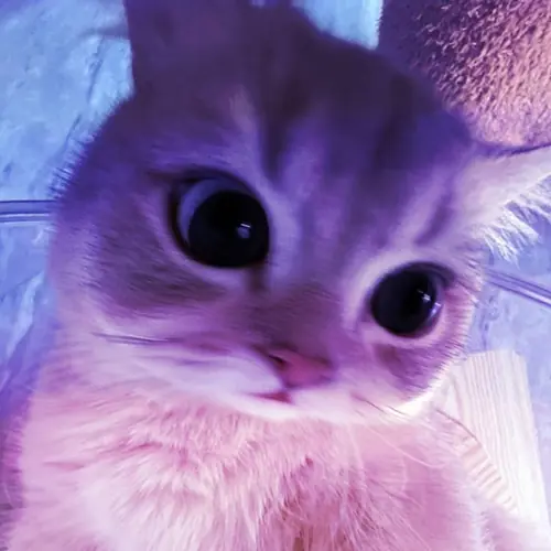 39 38